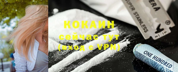 метадон Михайлов