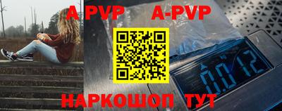 apvp Камышлов