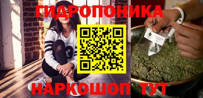 стафф Кандалакша