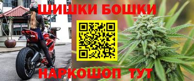 apvp Камышлов