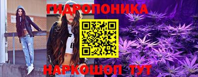 стафф Кандалакша