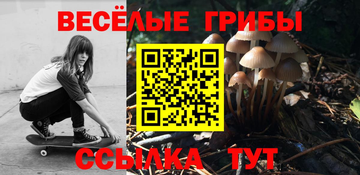 Галлюциногенные грибы ЛСД  Вход с VPN  Мурино 